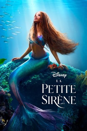 Pandémie : 13 histoires de vie